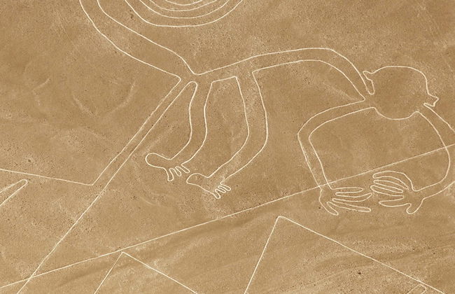 Complete Nazca Tour - Foto 1