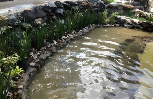 Sítio Piscina natural, Trilha e Cachoeira - Foto 31