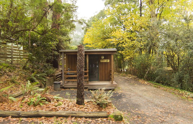 Tarra Valley Retreat - Foto 43