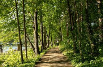 PRZYSTANEK DŁUŻEK - Photo 32