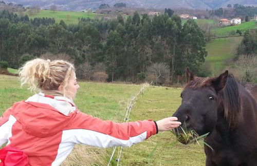 Bajo Los Tilos - Foto 31
