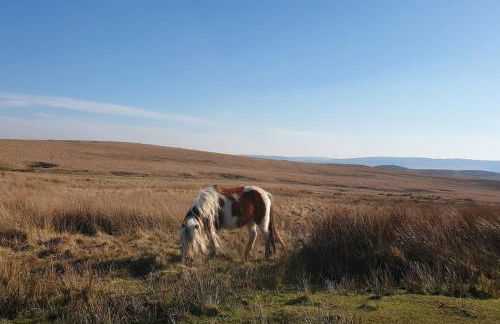 Bethel Nook, a cosy stay in the Welsh Valleys - Photo 24