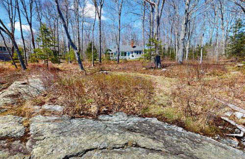 Birds Nest - Foto 29