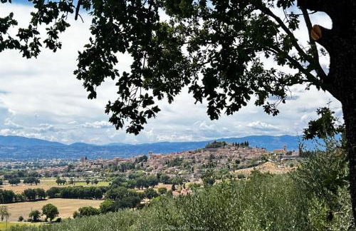 La Casa dell'Abate di Collepino - Spello - Foto 35