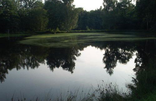 Ferienwohnungen Stricker Harz - Photo 32