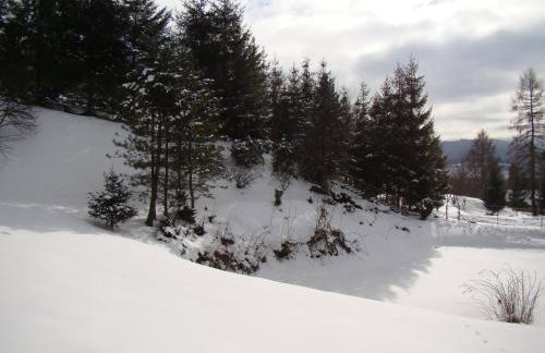 Domek nad stawem - Foto 31