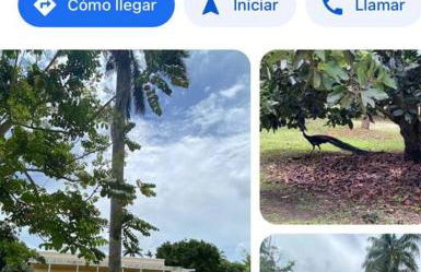 Bienvenidos a la Pequeña Selva de Legnalife - Foto 53