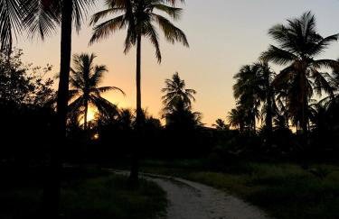 Refugios Parajuru - Villa Alegre - Photo 64