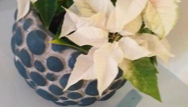 Alla Ghigliotta - Foto 4