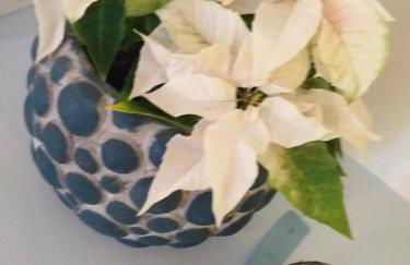 Alla Ghigliotta - Foto 4