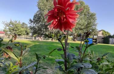 Gîte à la ferme - Foto 13