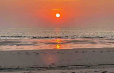 Pavilllon au calme à Lacanau Ocean, L'aubarède - Foto 13