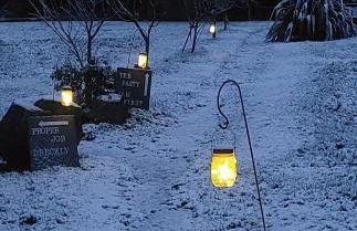 Dreckly cabin - Lydcott Glamping with Cornish sea views - Foto 23