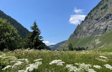 T2 vue sur le parc de la vanoise - Foto 26