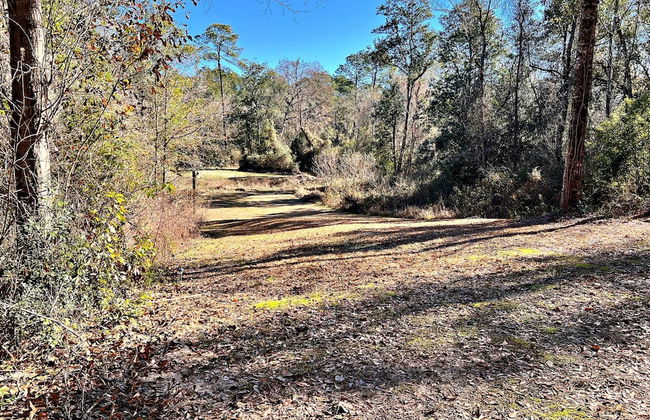 Daphne River Villa - Foto 45