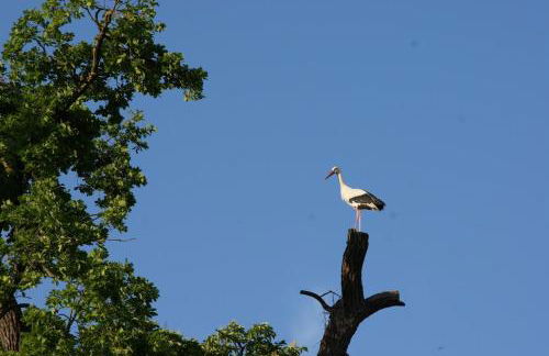 L'Horizon du Vignoble - Foto 19