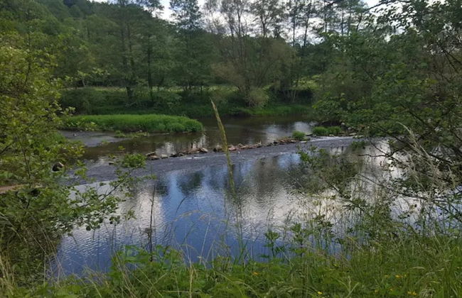 Ferienwohnung mit Garten auf dem Bauernhof - Foto 28