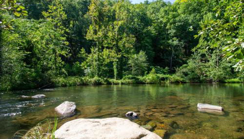 Mountain Haven Dragon's Nest Cabin - Foto 5