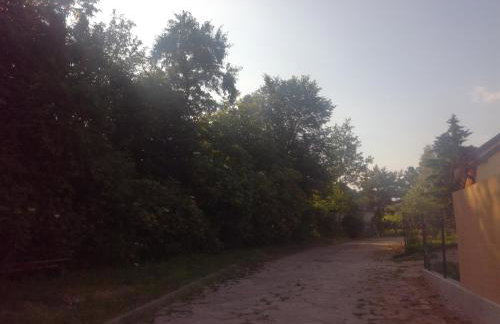 Zaciszny Zakątek - Foto 23