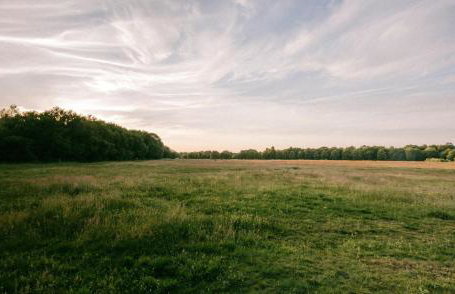 Charming Wimbledon 3-Bed Apt with Outdoor Area - Foto 32
