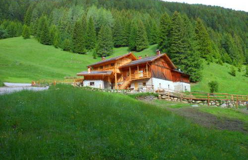 Maso Coler - Foto 60