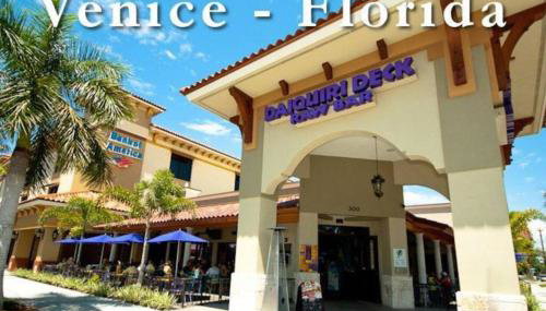 Great shape after Milton -Gorgeous Pool! - os - Foto 3