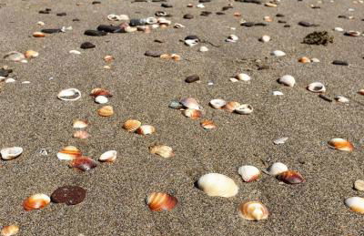 Casa ClaMi - Foto 56