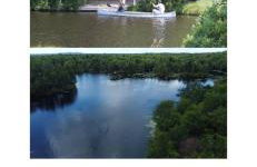 Cozy House in Long Pond 3 bedrooms 10 people - Foto 44