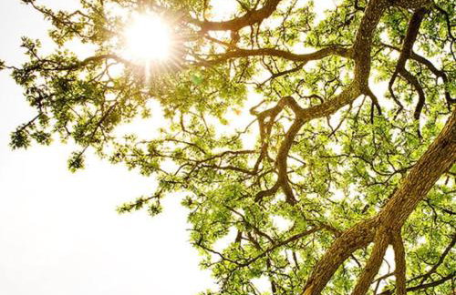 Haus Vita Ferien-und Seminarhaus - Foto 75