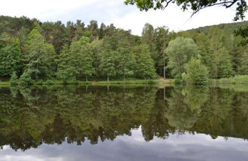 Zauber der Pfalz - Foto 65