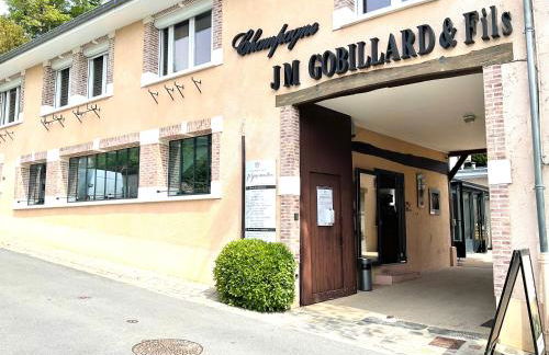 Les Loges Du Théatre 160m2 MAISON PRIVÉ 14 personnes MAX tout équipé a 200m de l'AVENUE DE CHAMPAGNE et toutes commodités DEGUSTATION CHAMPAGNE OFFERTE jacuzzi sauna jeux velos EMPLACEMENT EXCEPTIONNEL et CHIC - Foto 79