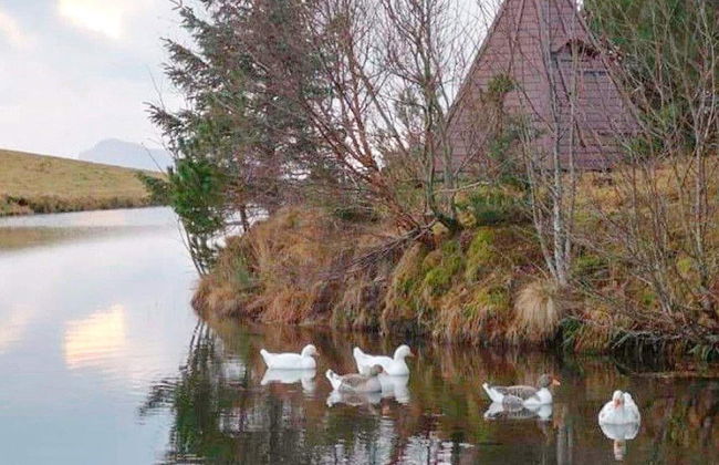 6 Person Holiday Home in Tansoy-by Traum - Foto 25