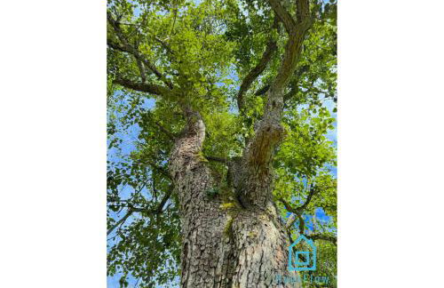 NaWypasie Apartment with Sauna Beautiful Garden SUP Board and Just 30 Minutes from Gdańsk and Gdynia - Foto 20