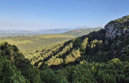 Apartamento Las Pasarelas Bajos - Foto 16