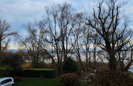 Lago a colazione pranzo e cena - Foto 8