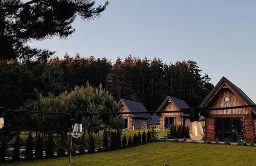 Sosnowe Domki - Photo 24