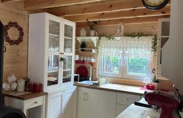 Chatka Jezioranka & bania - Foto 14