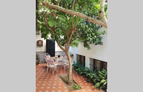 Casa en GRANADA con hermoso jardín, parking calle - Foto 13