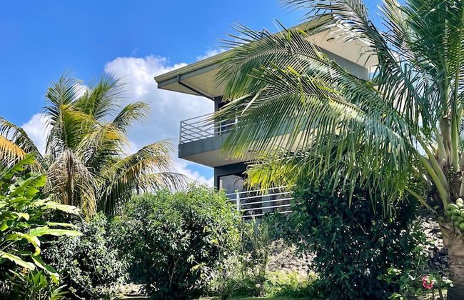 The Fruit Tree Garden Bromeliad Suite - Foto 1