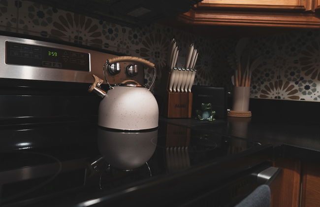 Modern Oasis - Photo 28