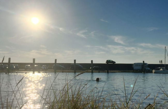 At the Old Sea Dike Comfortable Vacation Home - Foto 9