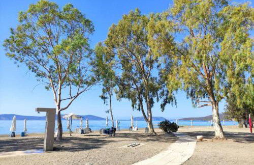 Villa Rania - Porto Hydra - Foto 24