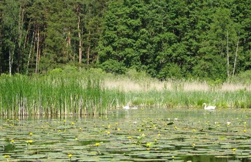 Ferienanlage Waschbär Country - Photo 30