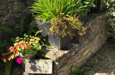 Norburton Hall Cottages - Photo 25