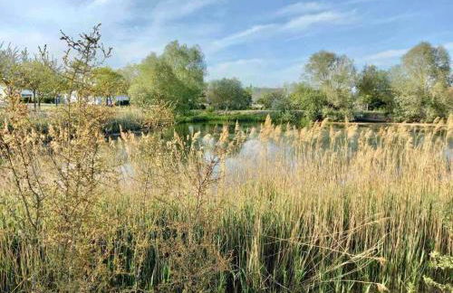 Le Domaine Réservé , parking et écrin de verdure - Foto 39