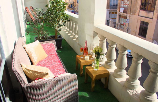 Maltese Maltese - Foto 35