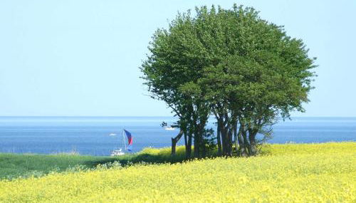 Ferienwohnung Küstenliebe - Foto 4