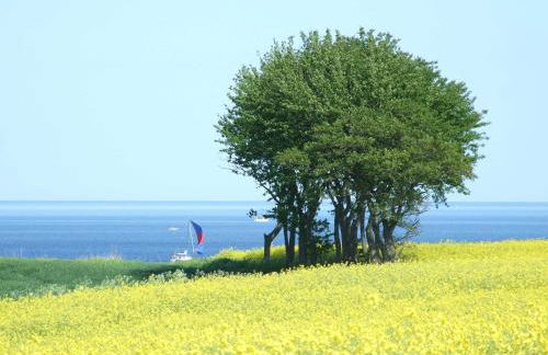 Ferienwohnung Küstenliebe - Foto 4