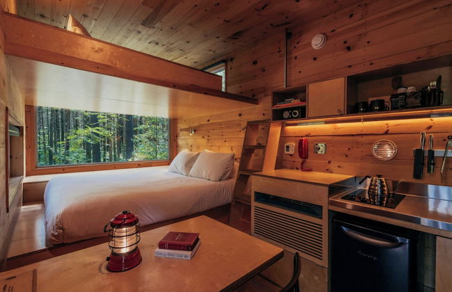 Postcard Cabins Eastern Catskills, Outdoor Collection by Marriott Bonvoy - Foto 20