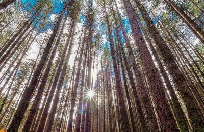 La Mia Valigia “Casetta Fragolina” - Foto 28